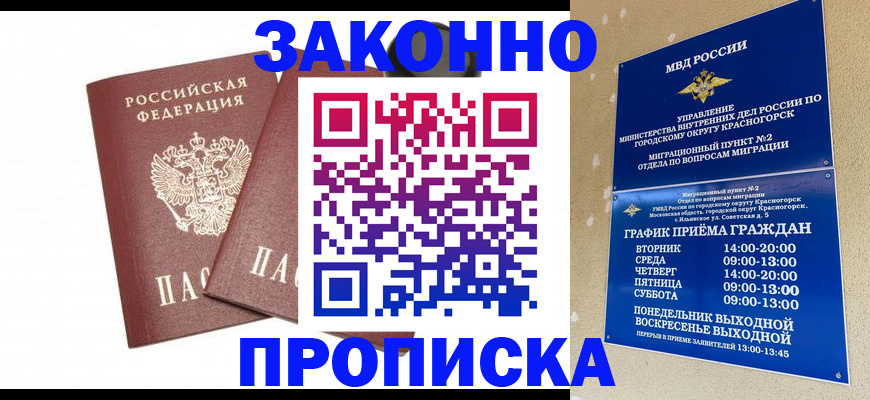 прописка гарантия в Мончегорске